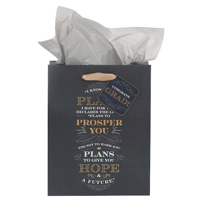 Gift Bag-Medium-I Know the Plans Jer. 29:11