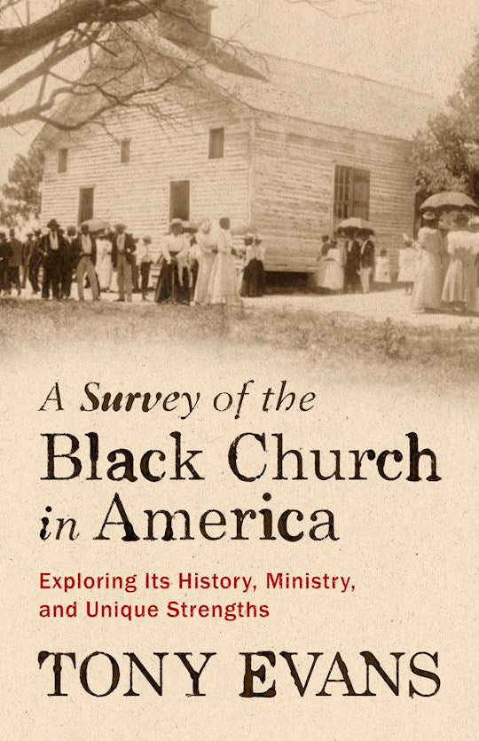 A Survey Of The Black Church In America