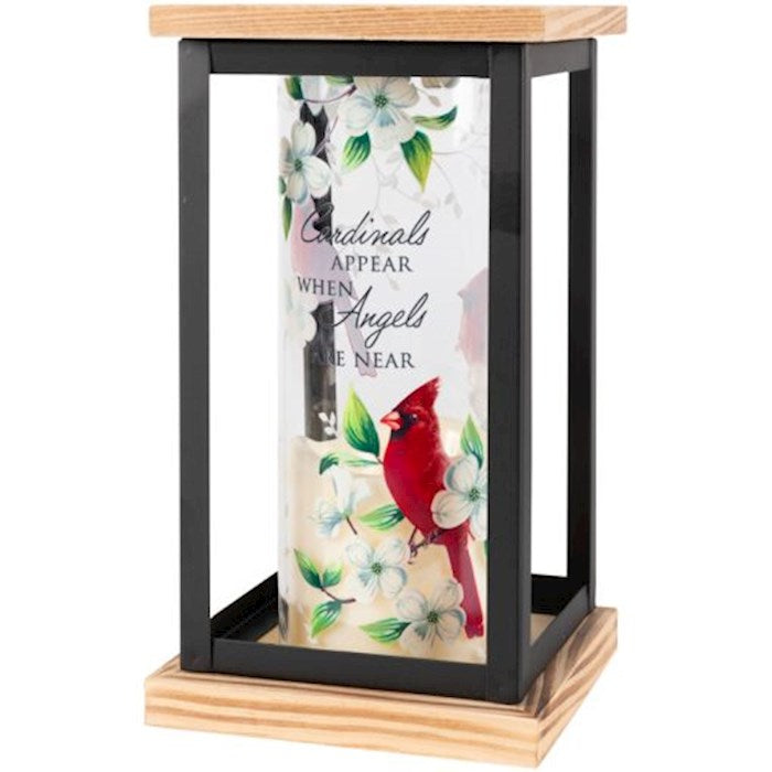 Lantern w/Flameless LED Candle & Timer-Cardinals Appear (4.75" x 8.5" x 4.75")