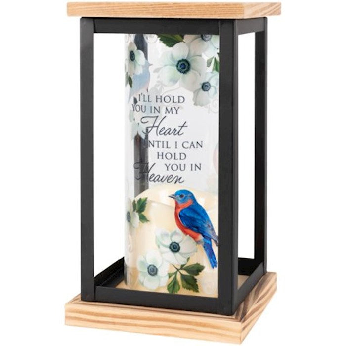 Lantern w/Flameless LED Candle & Timer-I&