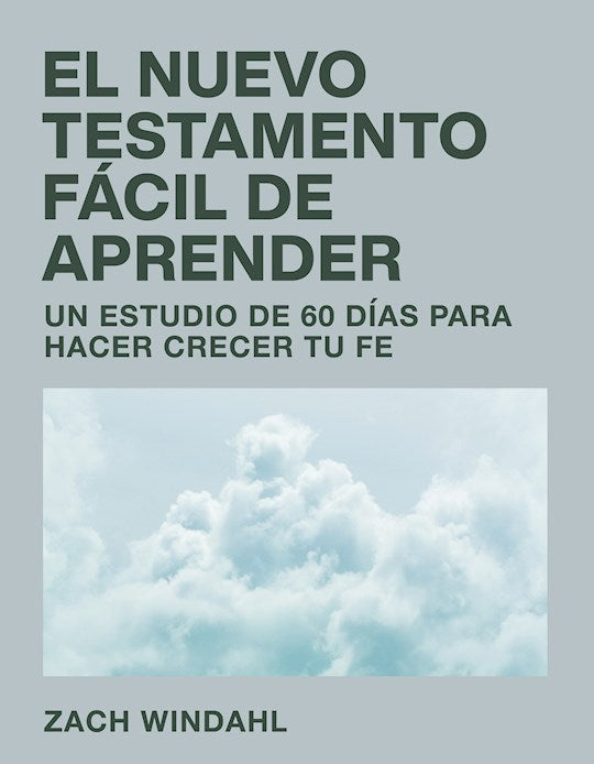 Span-New Testament Made Easy