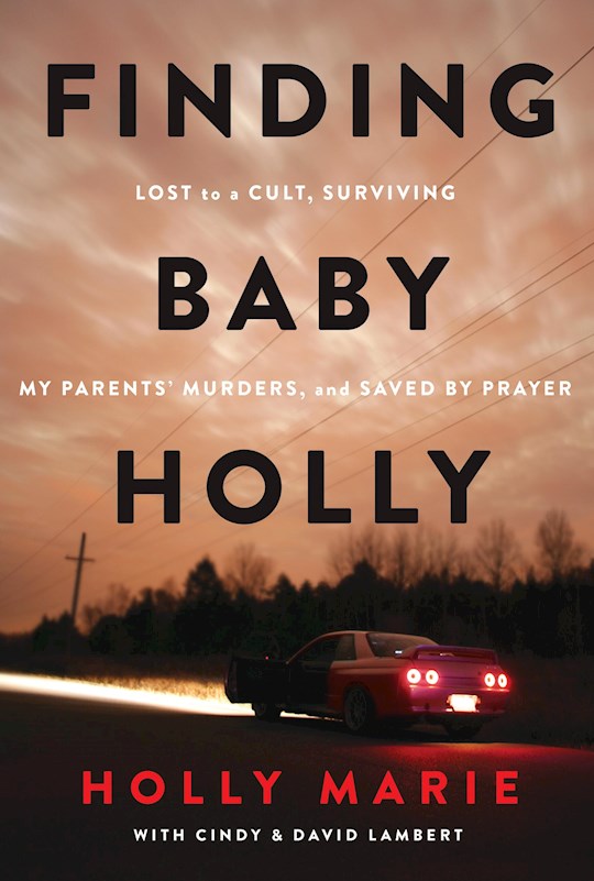 Finding Baby Holly-Softcover