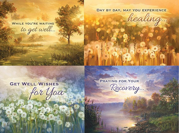 Card-Boxed-Floral Expressions Assorted Get Well (NIV) (Box Of 12)