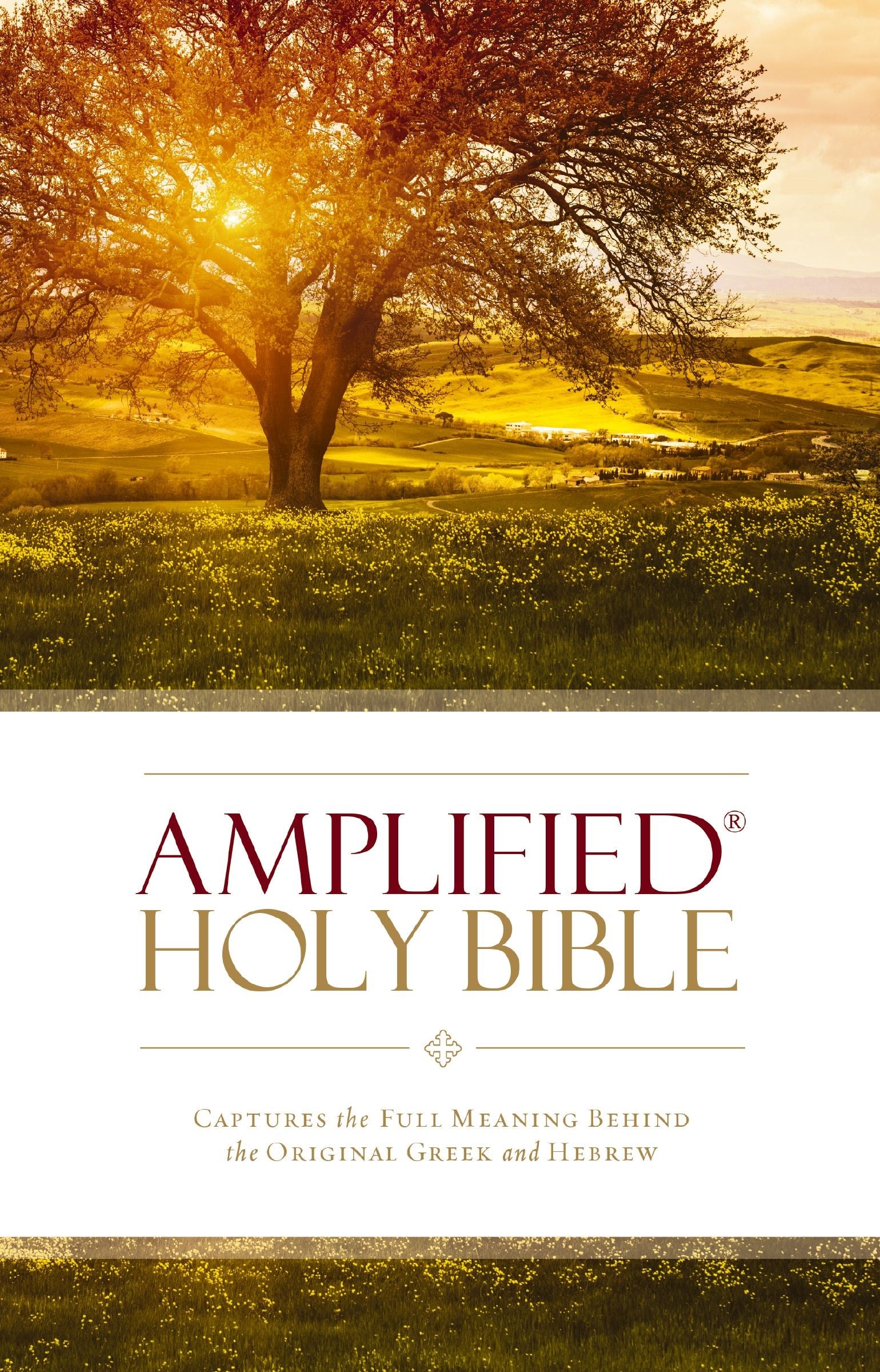 Amplified Holy Bible (Revised)-Hardcover