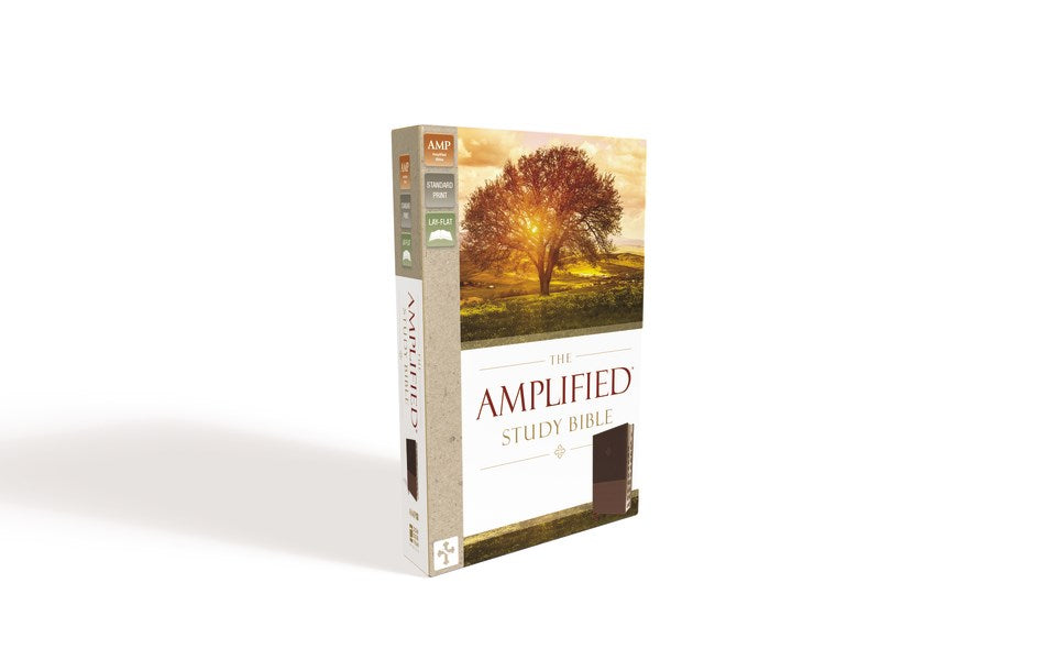 Amplified Study Bible (Revised)-Brown LeatherSoft Indexed