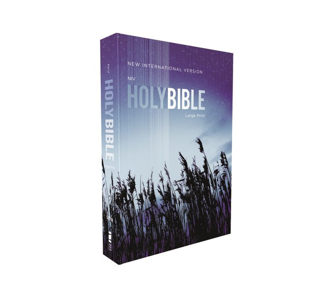 NIV Outreach Bible/Large Print-Blue Wheat Softcover