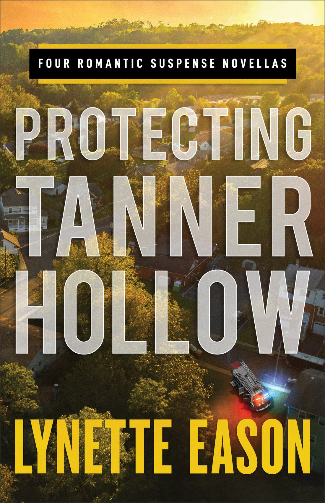 Protecting Tanner Hollow (LSI)