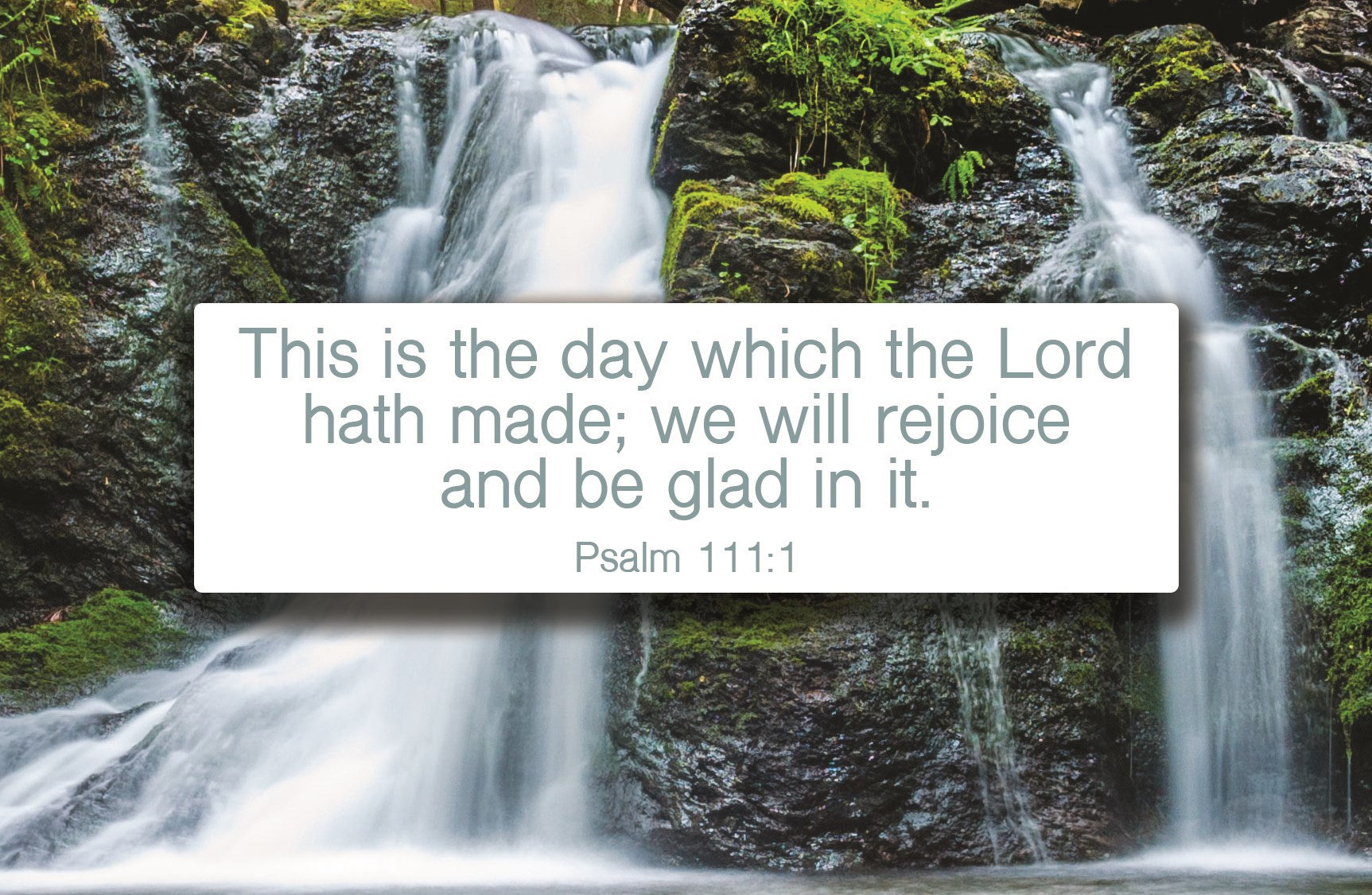 Seed of Abraham Christian Bookstore - Postcard-This Is The Day Which The Lord Hath Made (Psalm 111:1) (Pack Of 25)