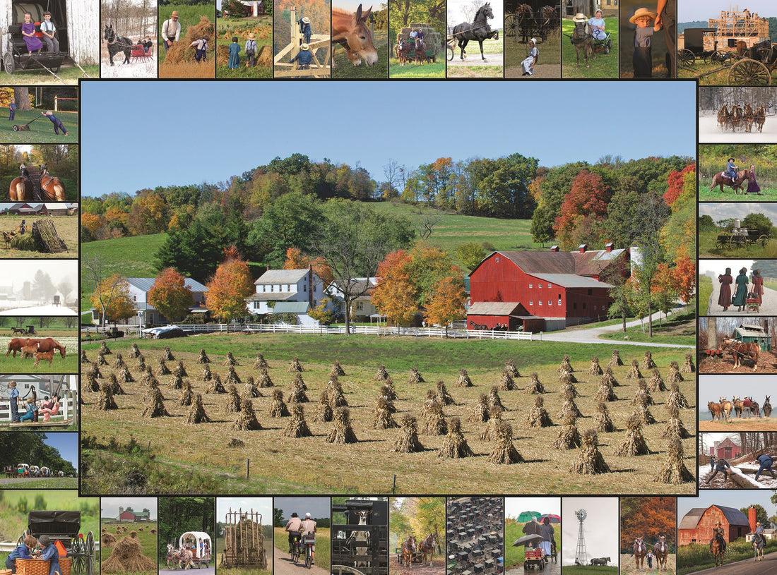 Jigsaw Puzzle-Harvest Season (1000 Pieces)