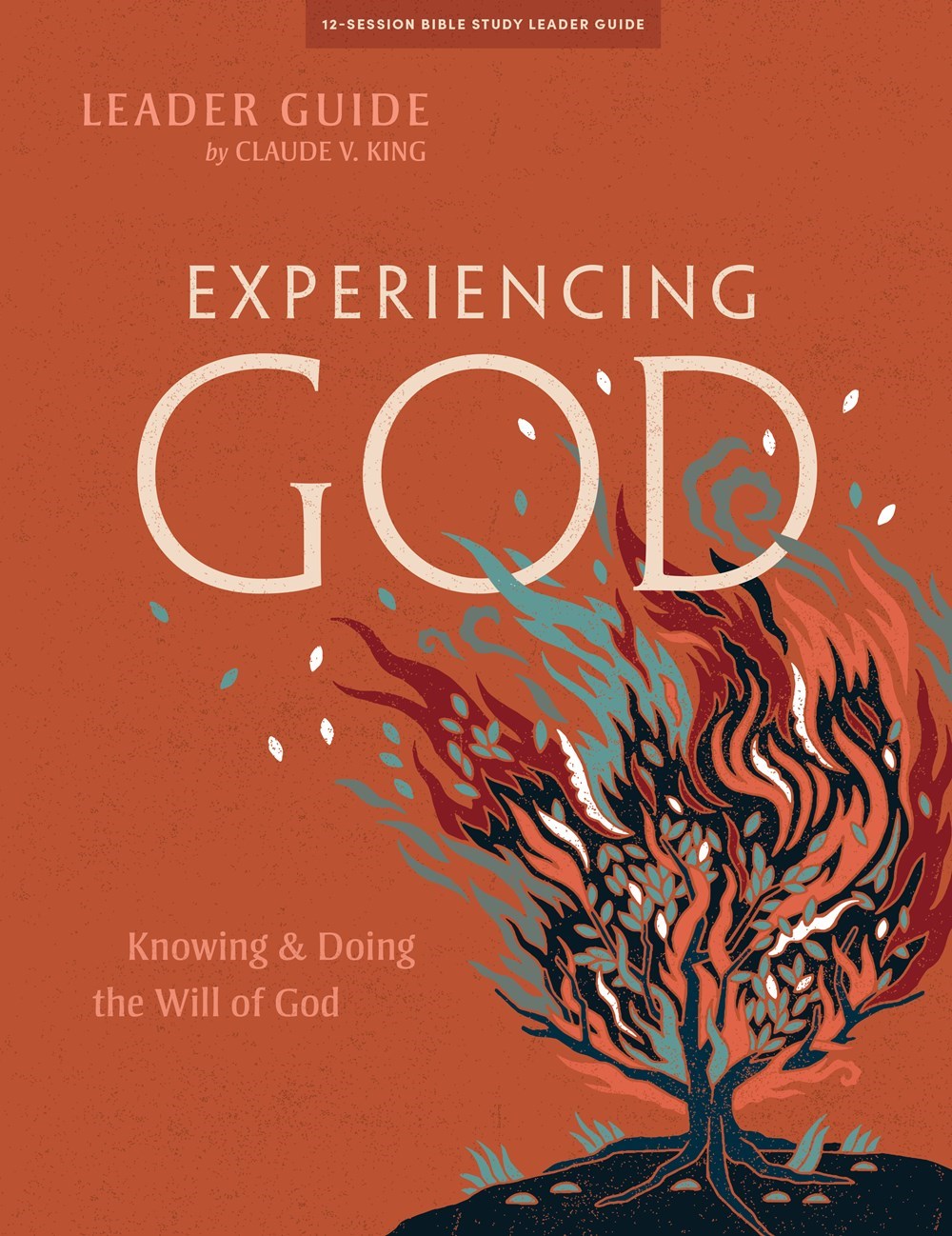 Experiencing God Bible Study Book Leader Guide