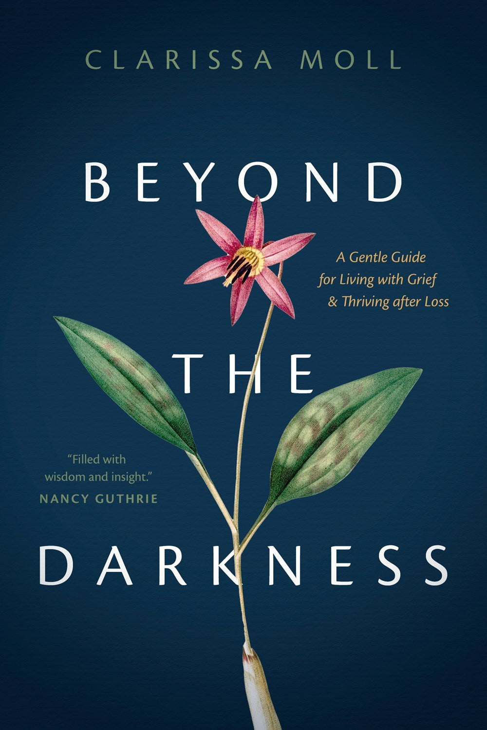 Beyond The Darkness