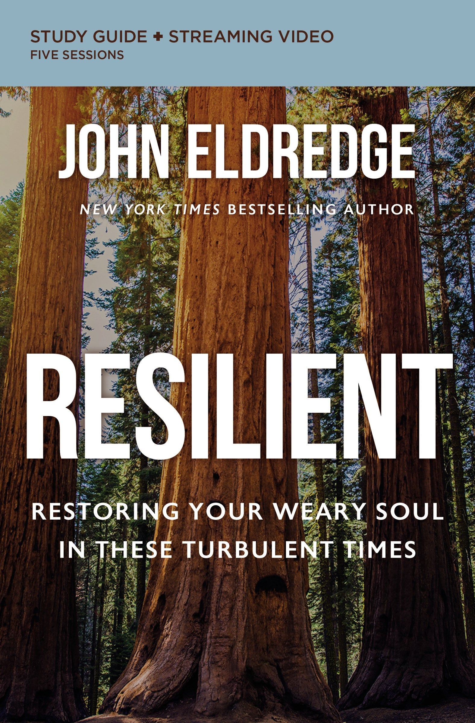 Resilient Study Guide Plus Streaming Video