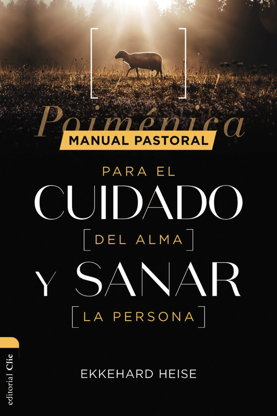 Span-Theoretical and Practical Handbook On Pastoral Care (Manual pastoral para cuidar el alma y sanar la persona)
