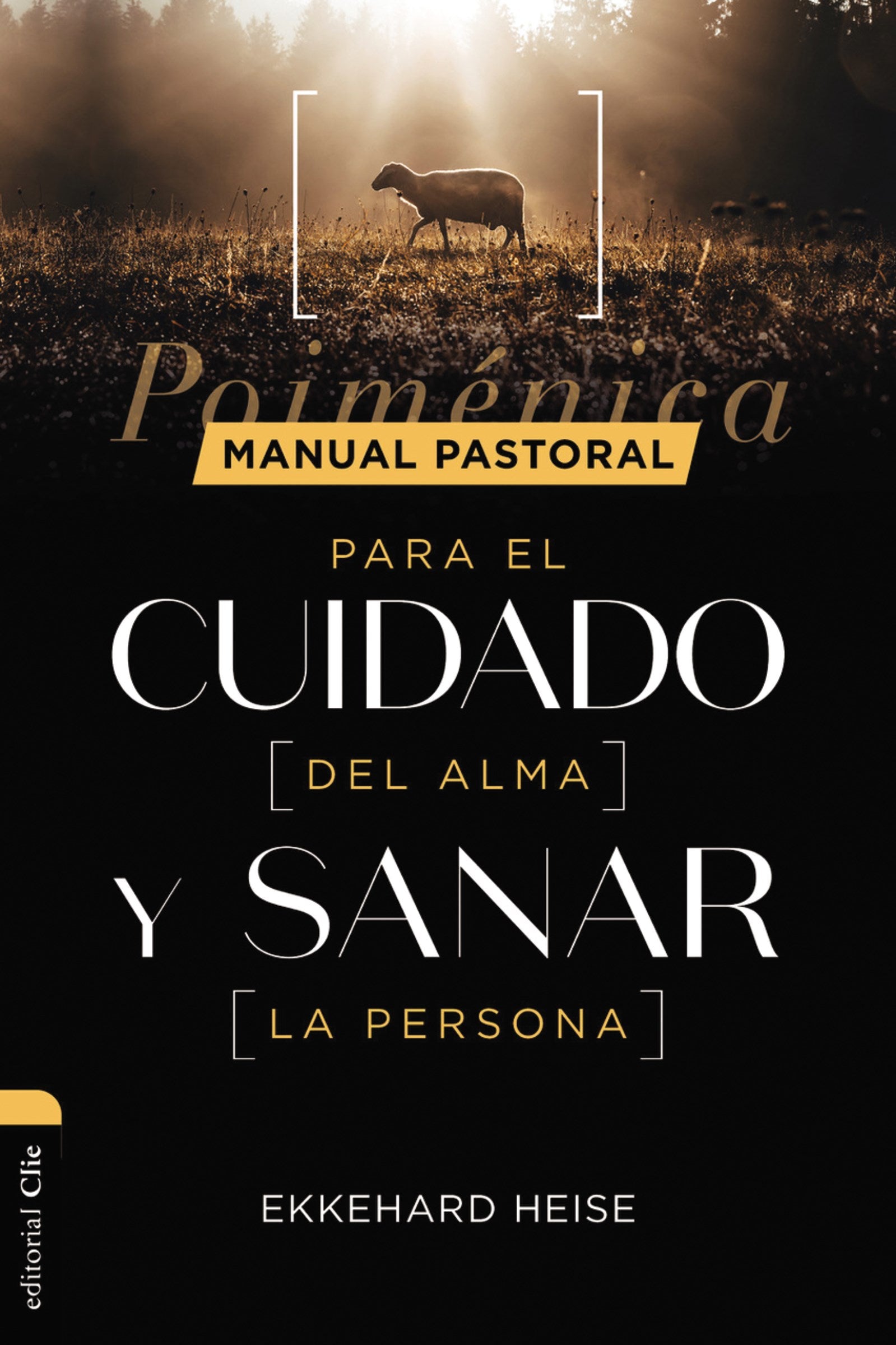 Span-Theoretical and Practical Handbook On Pastoral Care (Manual pastoral para cuidar el alma y sanar la persona)