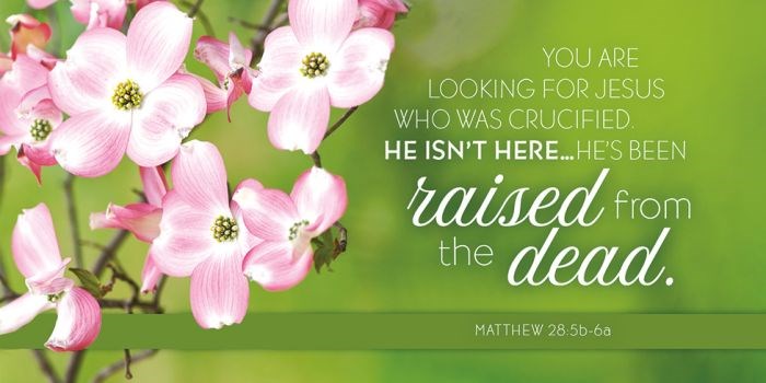 Offering Envelope-You Are Looking For Jesus Who Was Crucified (Pack Of 100)