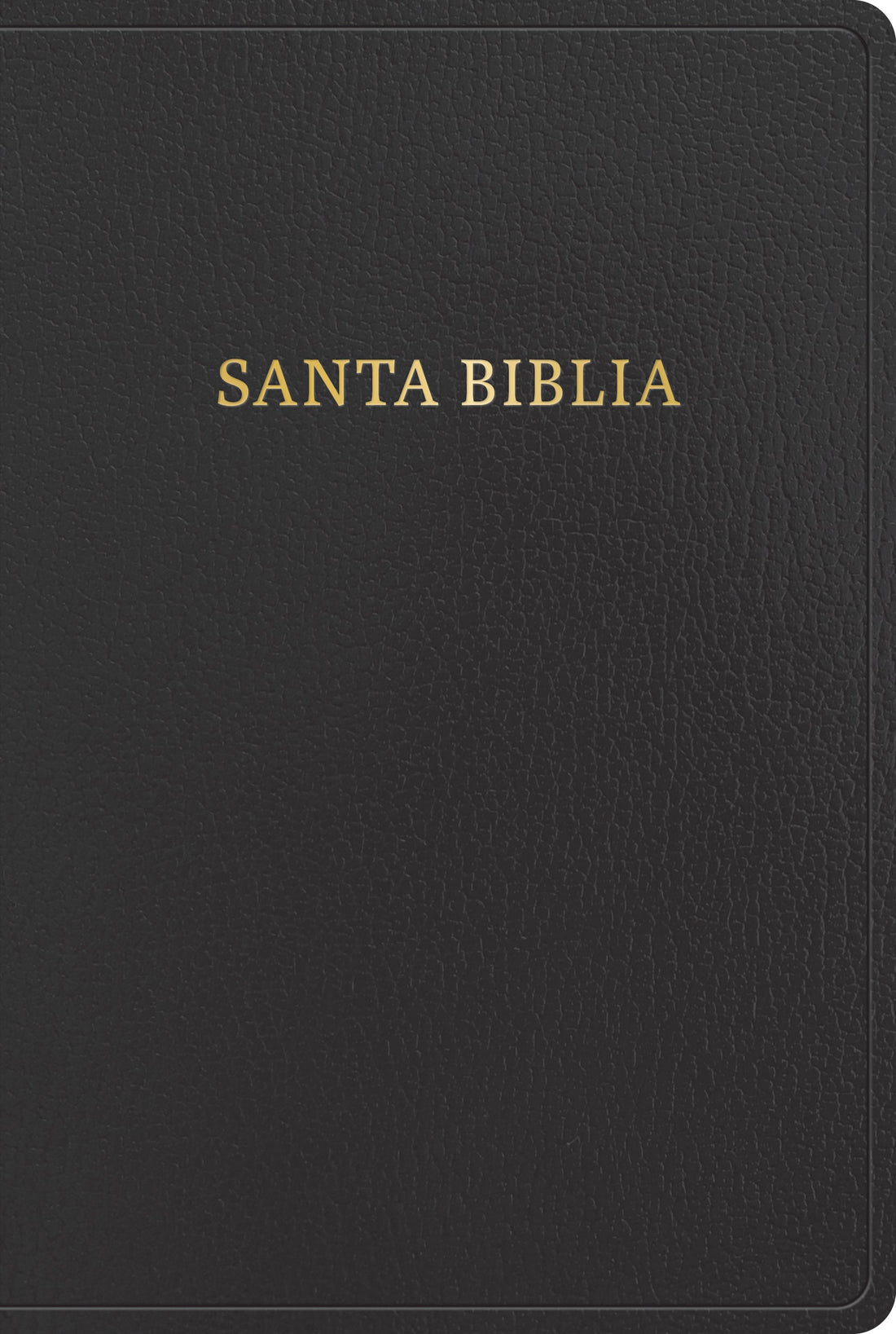 Span-RVR 1960 Giant Print Bible (Biblia Letra Gigante)-Black Imitation Leather