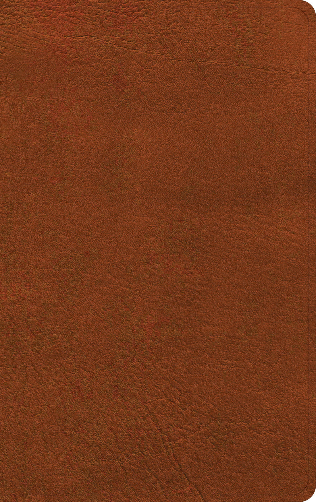 NASB 2020 Single-Column Personal Size Bible-Burnt Sienna LeatherTouch