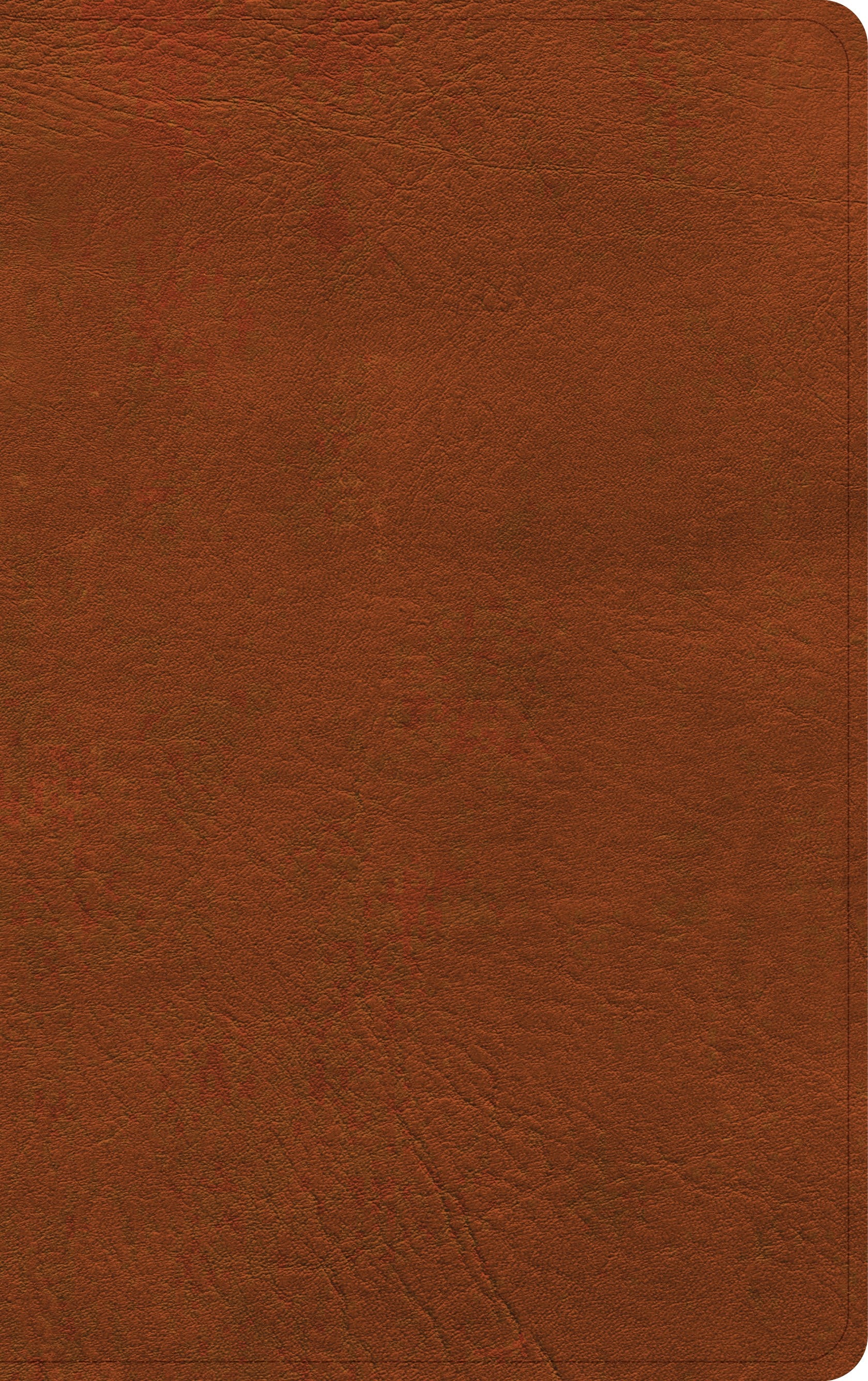 NASB 2020 Single-Column Personal Size Bible-Burnt Sienna LeatherTouch