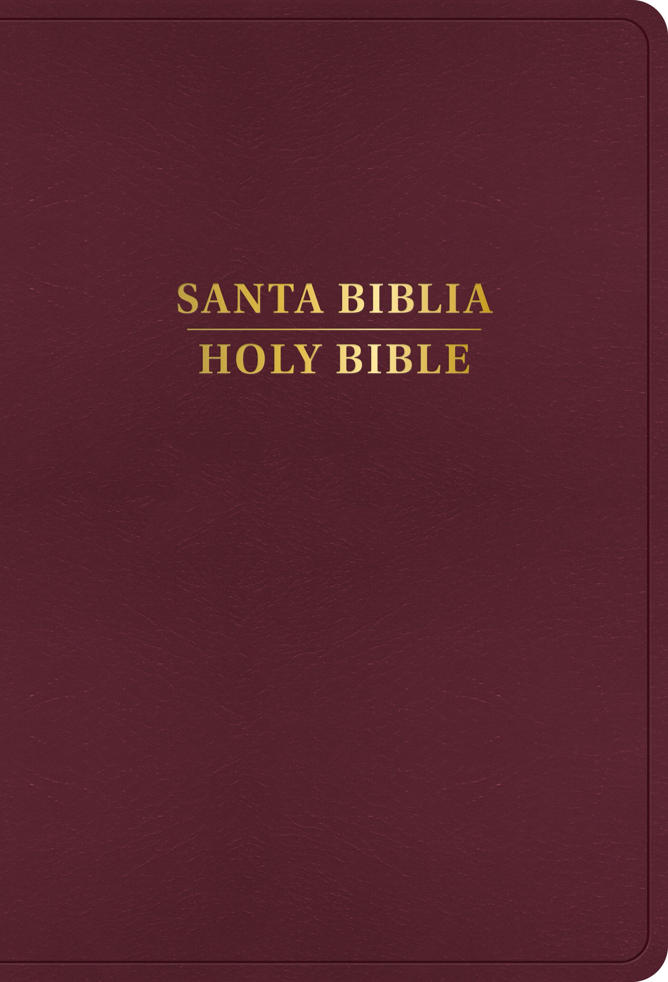 Span-RVR 1960/KJV Large Print Bible (Biblia Bilingue Letra Grande)-Burgundy Imitation Leather Indexed