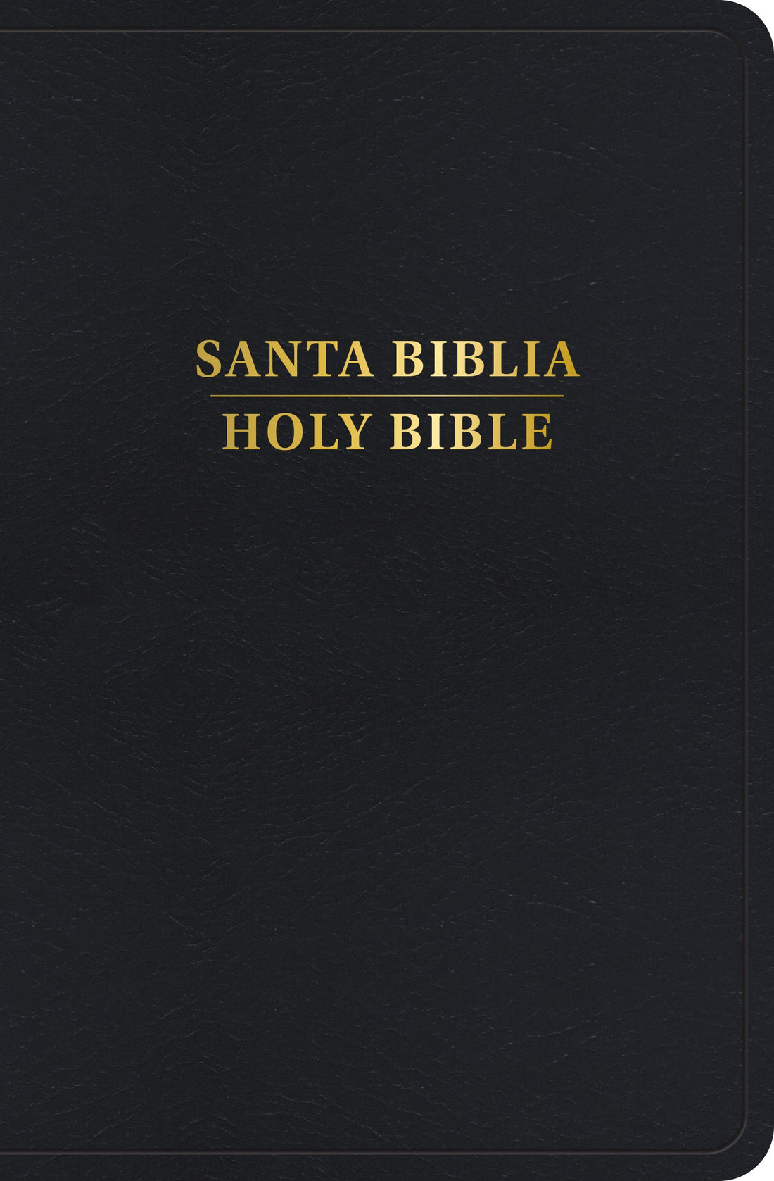 Span-RVR 1960/KJV Personal Size Bilingual Bible (Biblia Bilingue Tamano Personal)-Black Imitation Leather Indexed