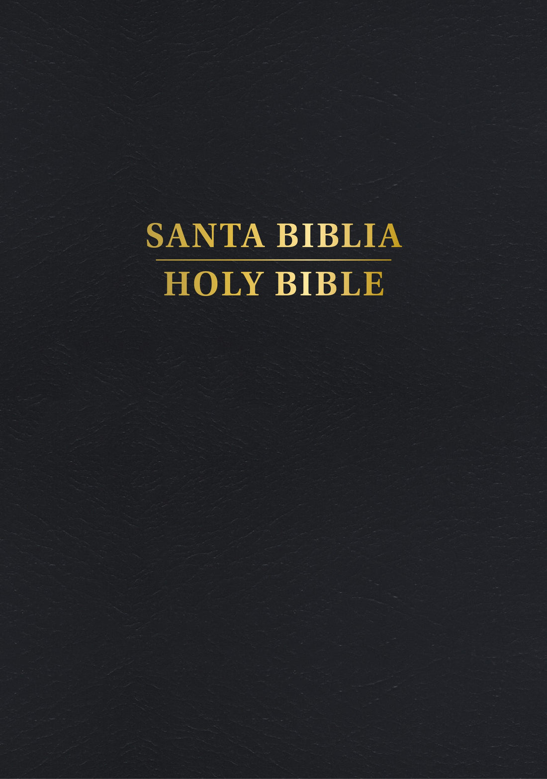 Span-RVR 1960/KJV Personal Size Bilingual Bible (Biblia Bilingue Tamano Personal)-Black Hardcover