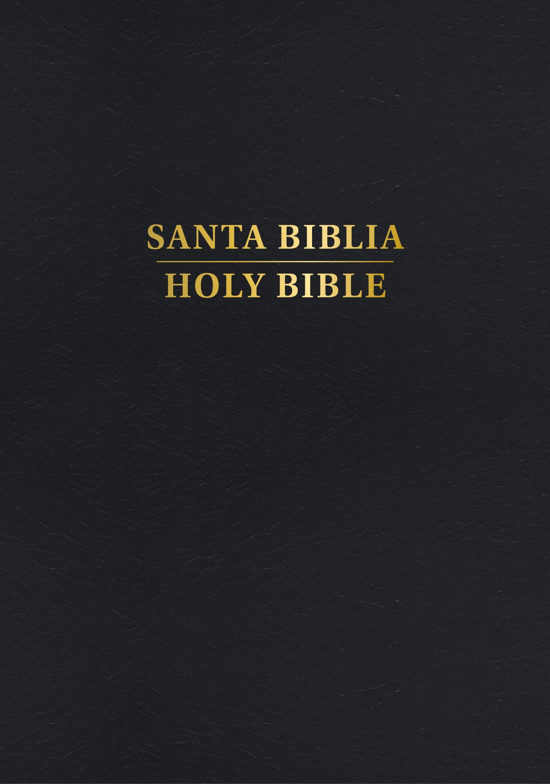 Span-RVR 1960/KJV Personal Size Bilingual Bible (Biblia Bilingue Tamano Personal)-Black Hardcover