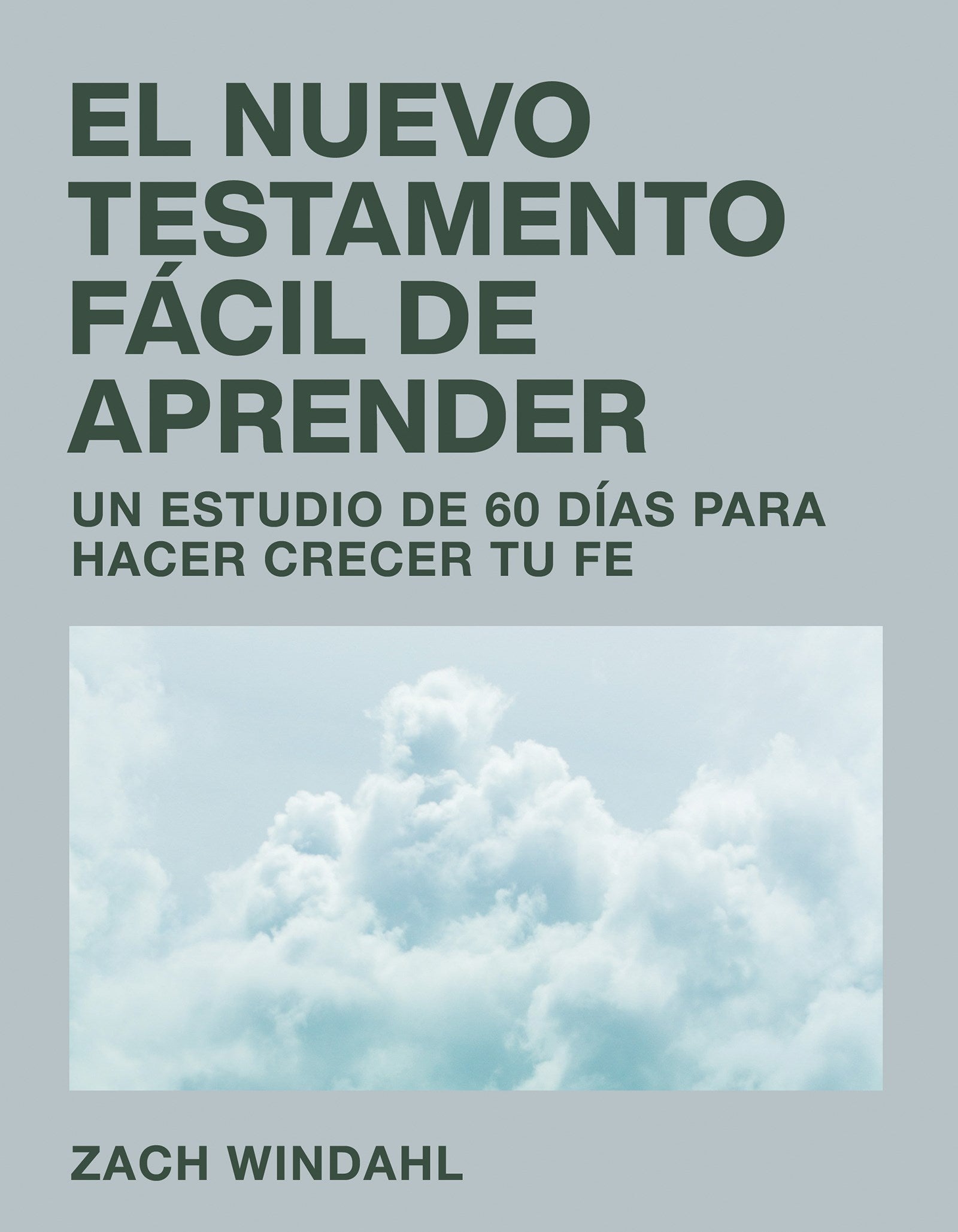 Span-New Testament Made Easy