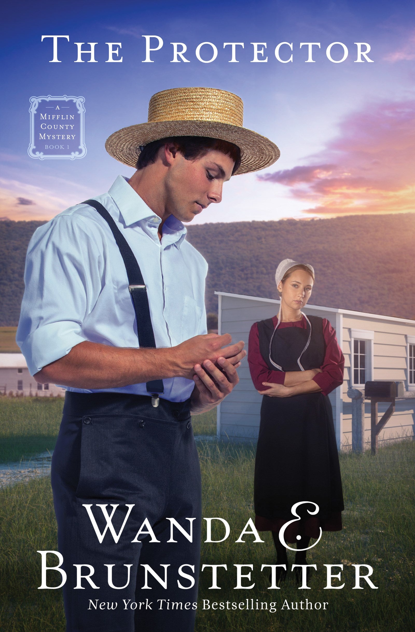 The Protector (A Mifflin County Mystery