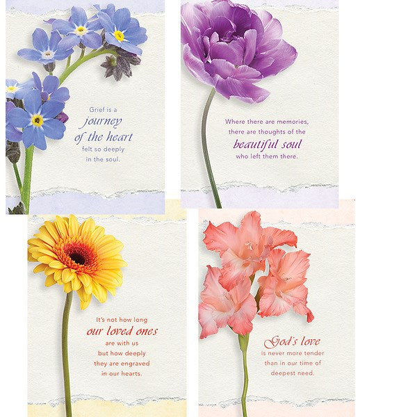 Card-Boxed-Journey Of The Heart Assorted Sympathy (NIV) (Box Of 12)