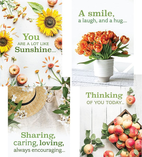 Card-Boxed-Sharing Sunshine Assorted (KJV) (Box Of 12)