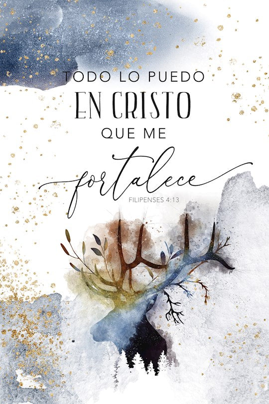 Spanish Plaque-Heaven Sent-I Can Do All Things Through Christ (Todo Lo Puedo En Cristo) (6" x 9")