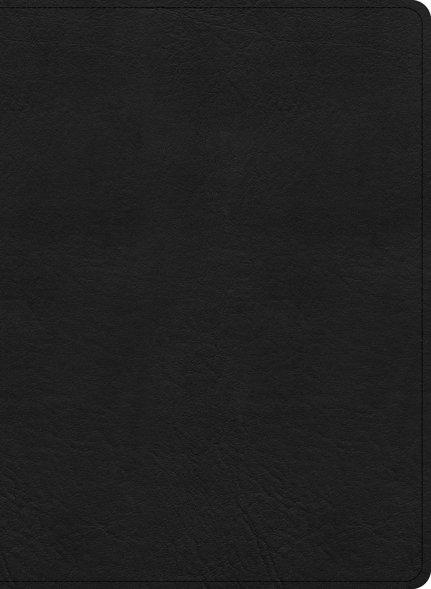 KJV Study Bible/Large Print Edition-Black LeatherTouch