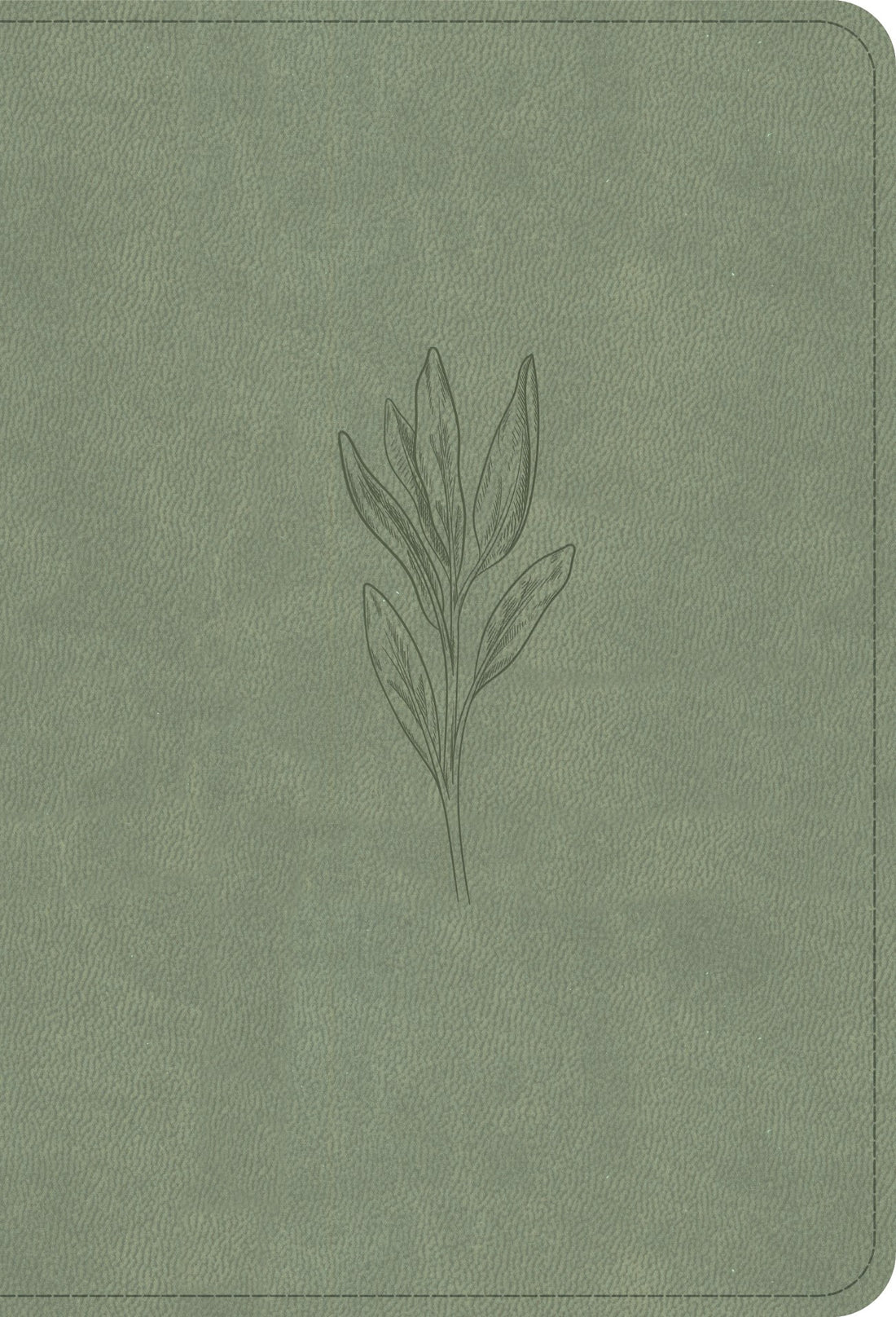 NASB 2020 Large Print Compact Reference Bible-Sage SuedeSoft LeatherTouch