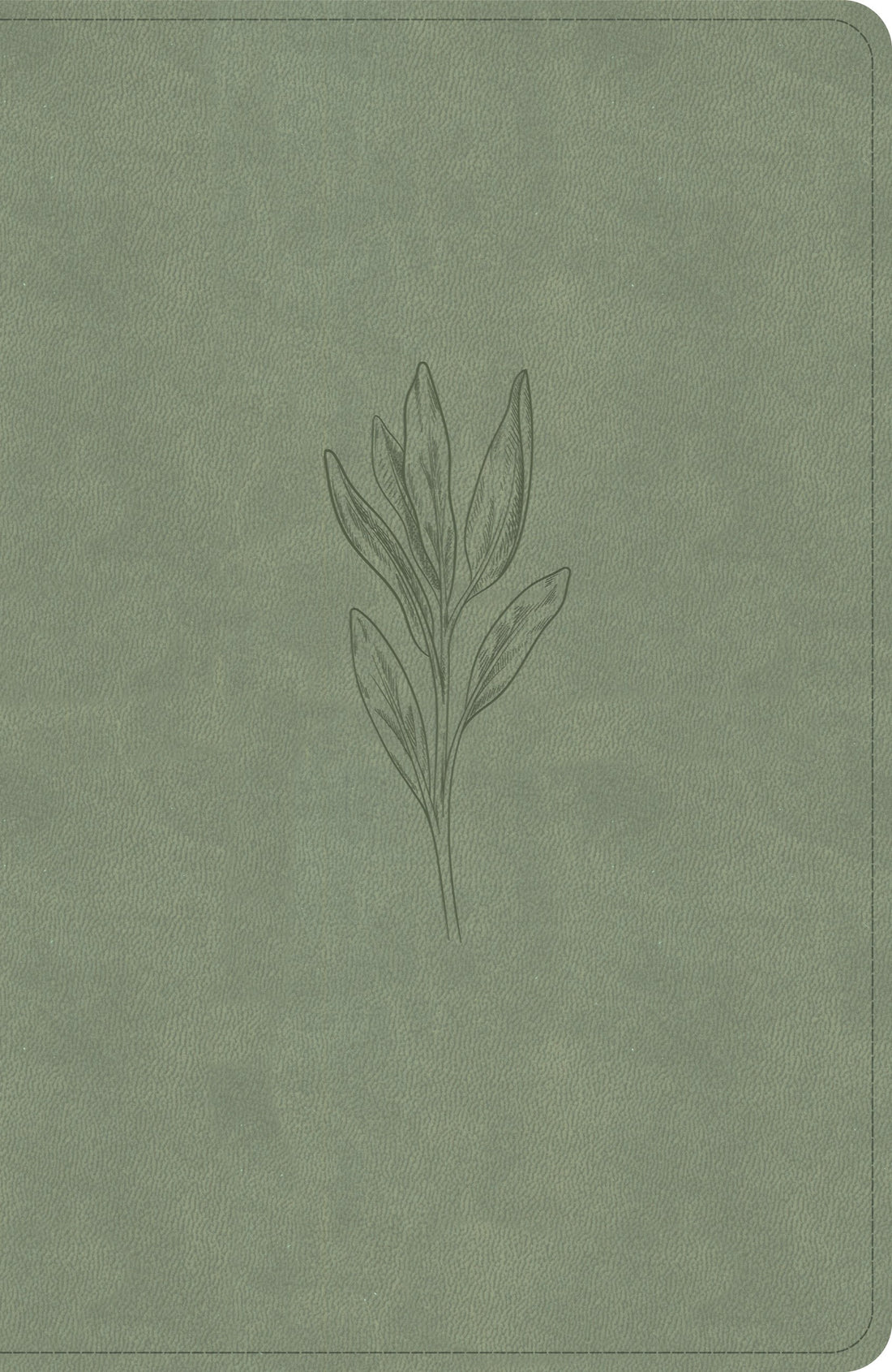 NASB 2020 Large Print Personal Size Reference Bible-Sage SuedeSoft LeatherTouch