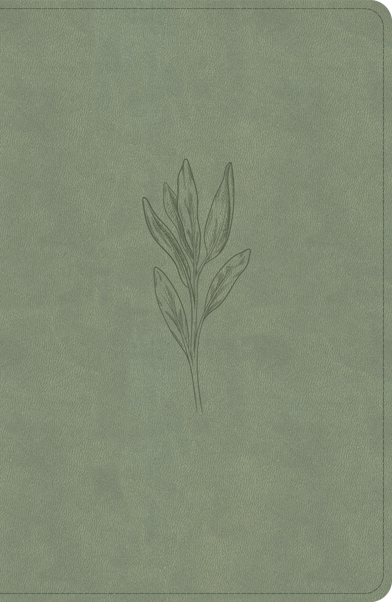 NASB 2020 Large Print Personal Size Reference Bible-Sage SuedeSoft LeatherTouch