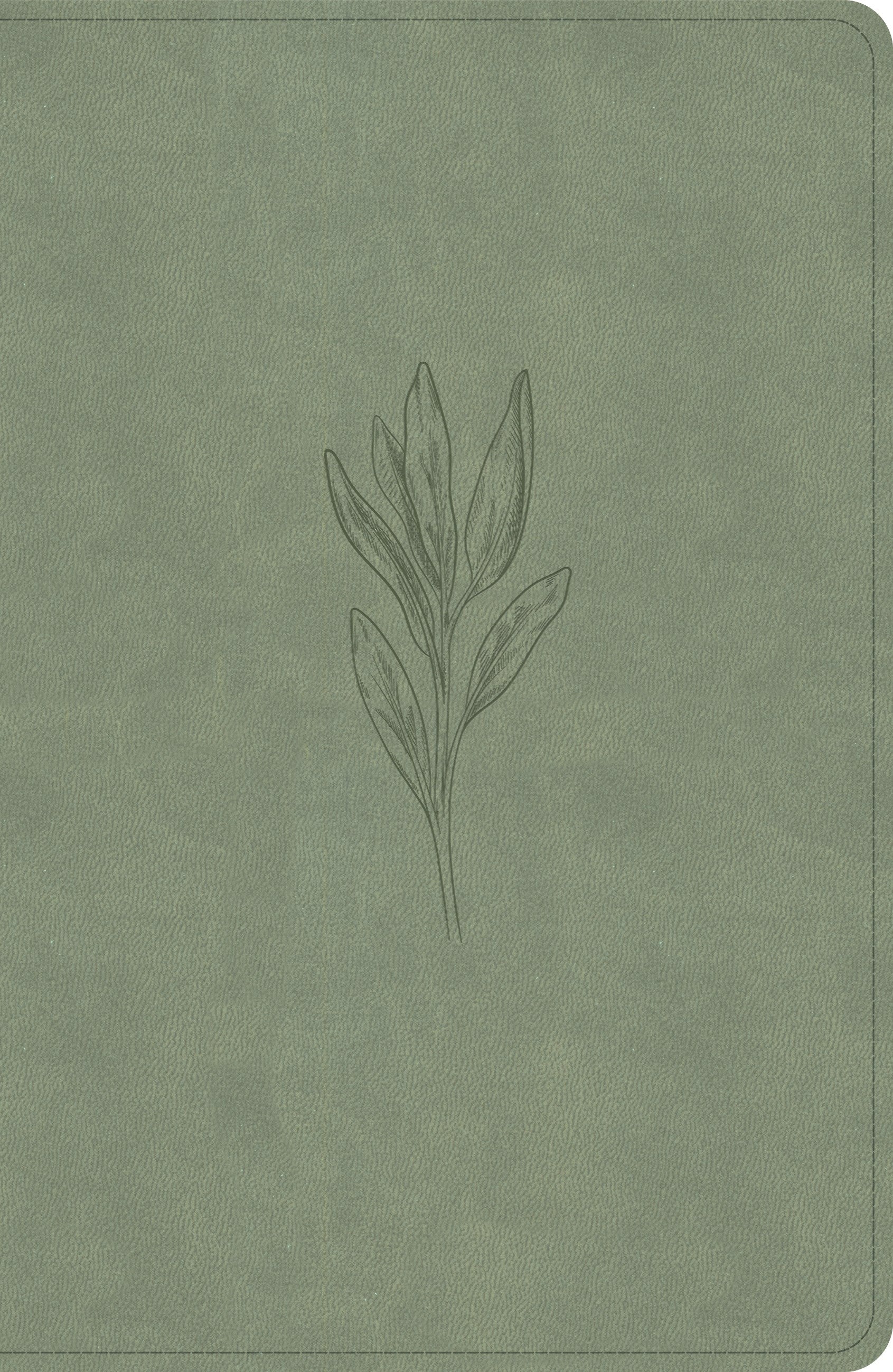 NASB 2020 Large Print Personal Size Reference Bible-Sage SuedeSoft LeatherTouch