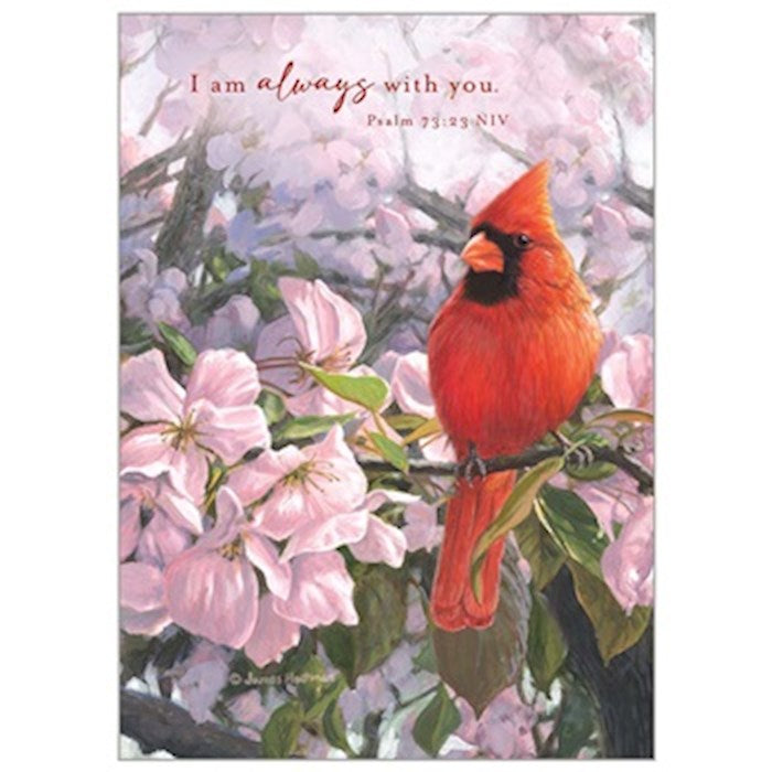 Journal-Gatefold-Cardinal&