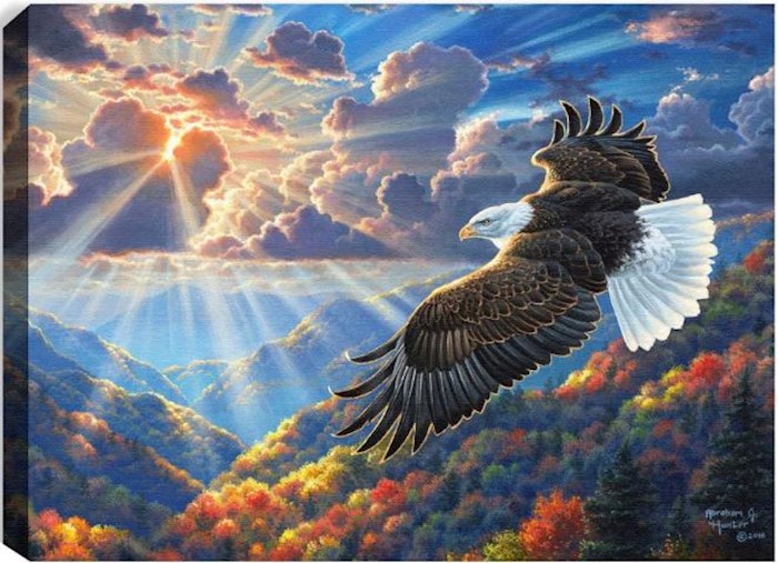 Mini Canvas-Freedom-LED Tabletop w/Timer (8&quot; x 6&quot;)