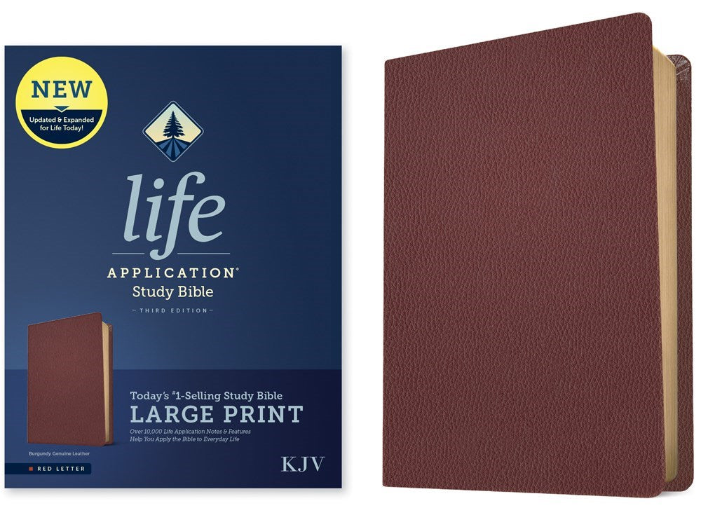 KJV Life Application Study Bible/Large Print (Third Edition)-Burgundy Genuine Leather