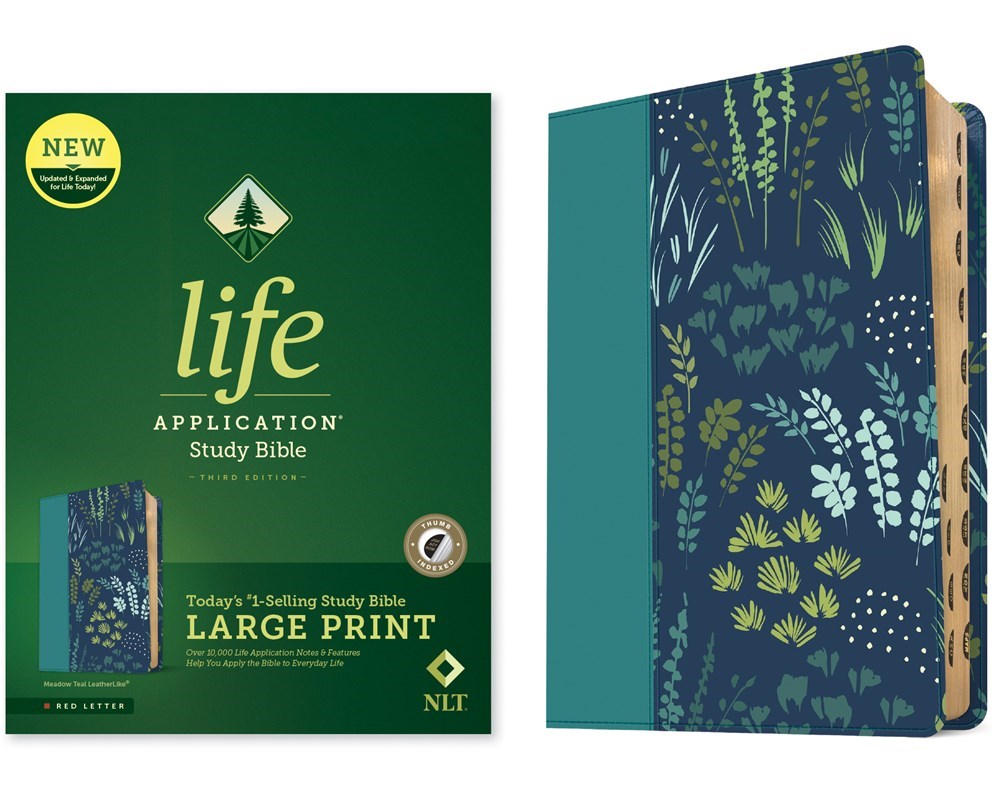 NLT Life Application Study Bible/Large Print (Third Edition)-Meadow Teal Leatherlike Indexed