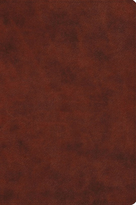 ESV Everyday Gospel Bible-Chestnut TruTone