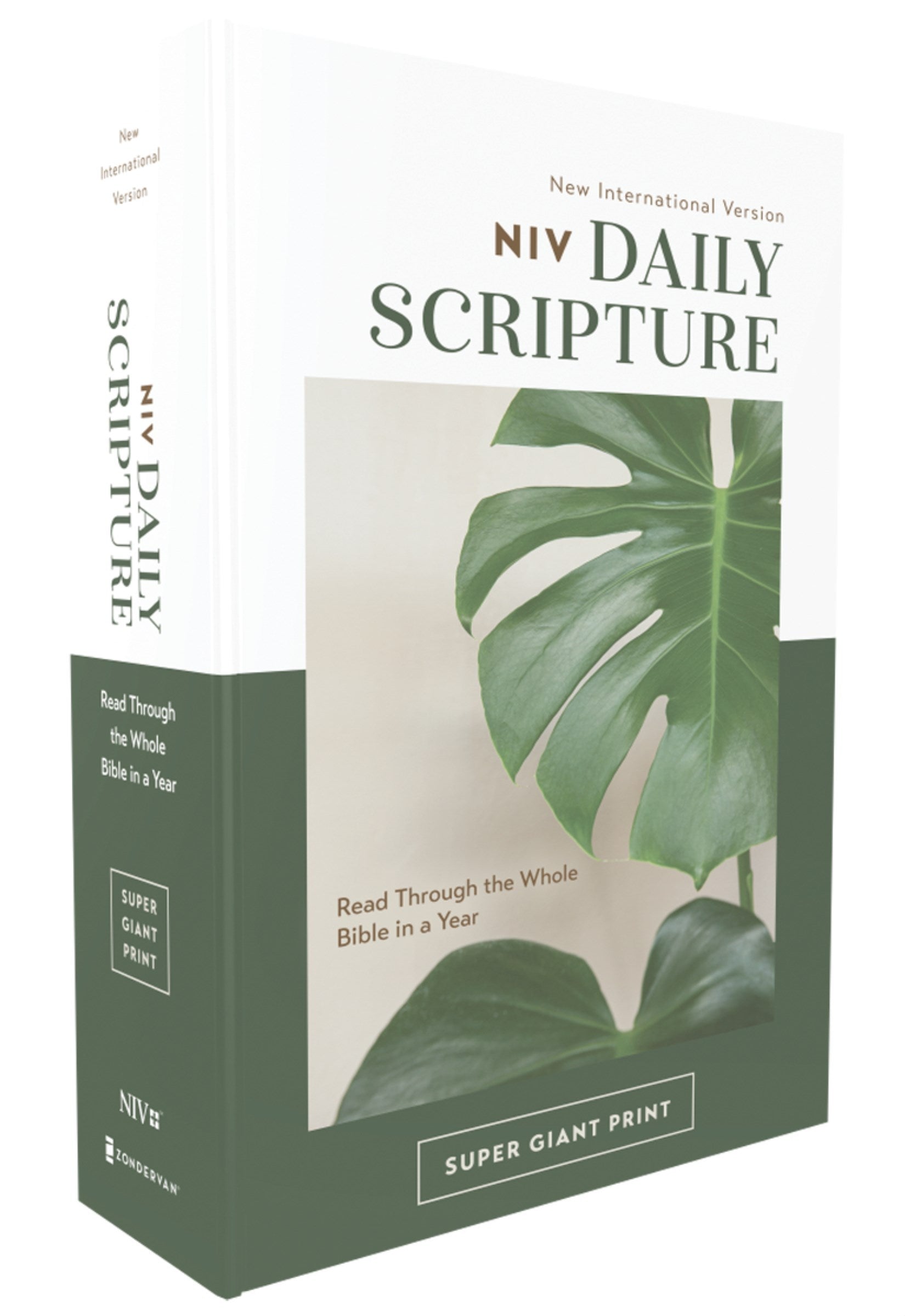 NIV Daily Scripture Super Giant Print Bible (Comfprt Print)-White/Green Paperback
