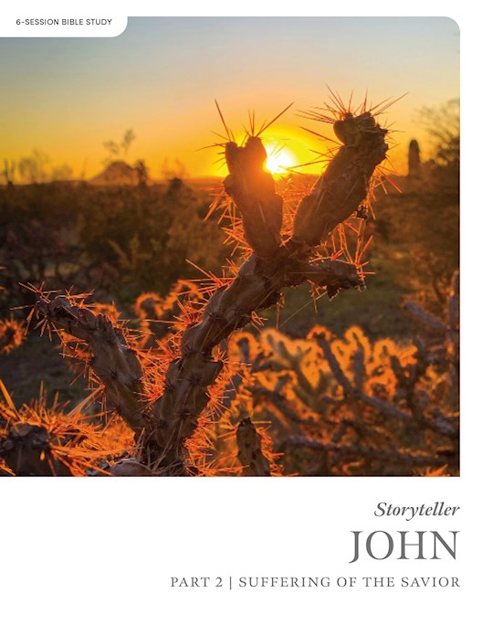 Storyteller: John Part 2 Bible Study Book
