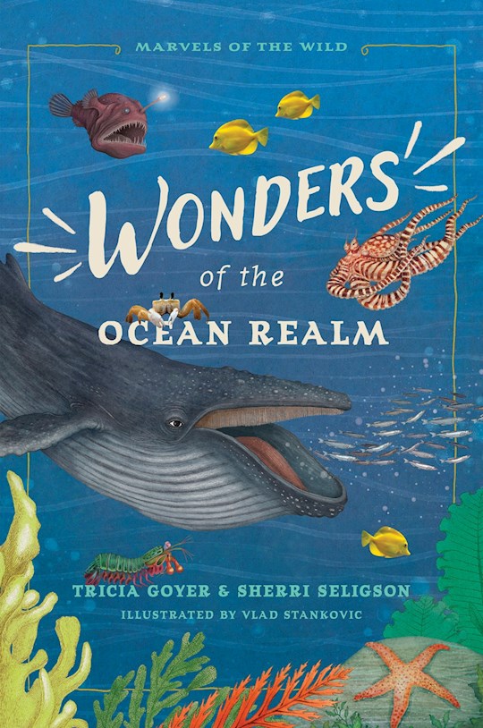 Wonders Of The Ocean Realm