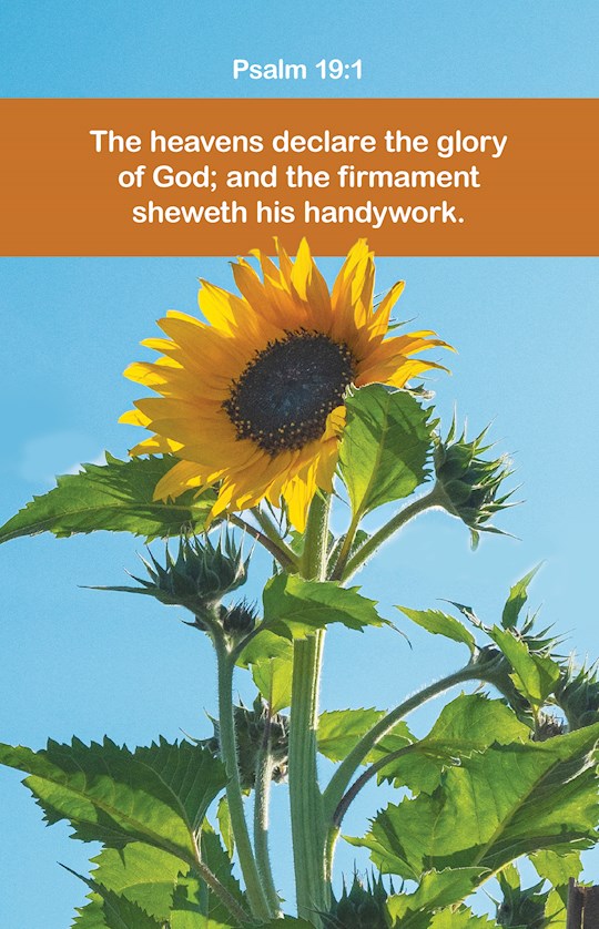 Bulletin-The Heavens Declare The Glory Of God (Psalm 19:1 KJV) (Pack Of 100)
