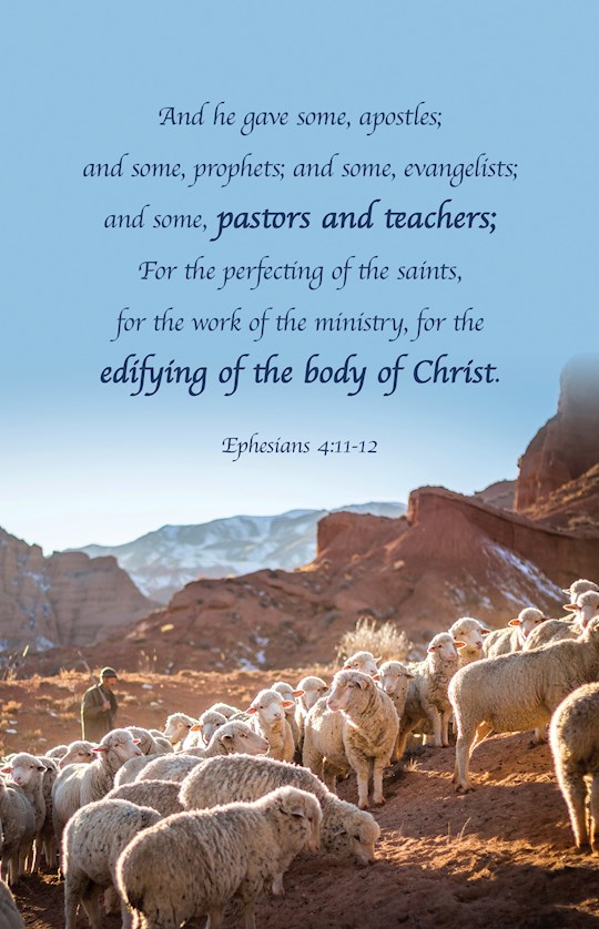 Bulletin-Pastor Appreciation: And He Gave (Ephesians 4:11-12 KJV) (Pack Of 100)