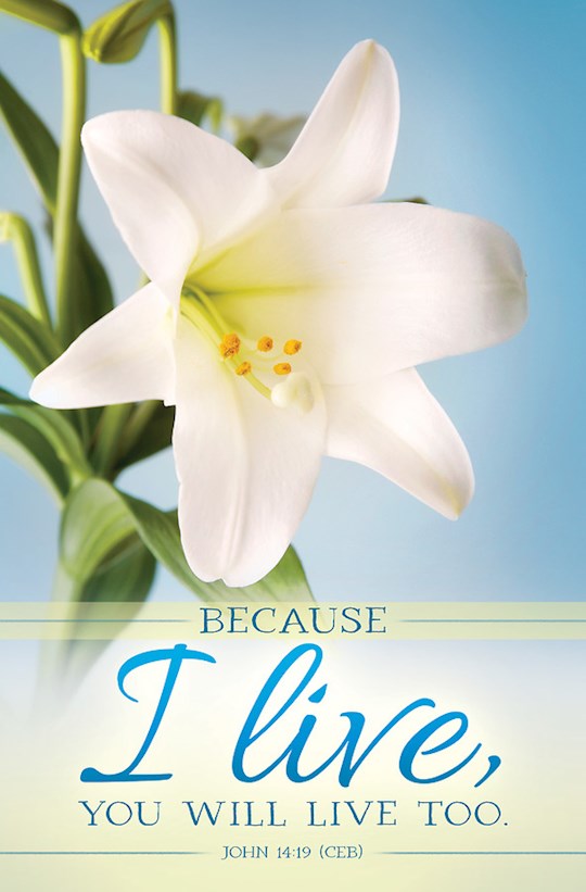 Bulletin-Because I Live/Easter Lilys (John 14:19) (Pack Of 100)