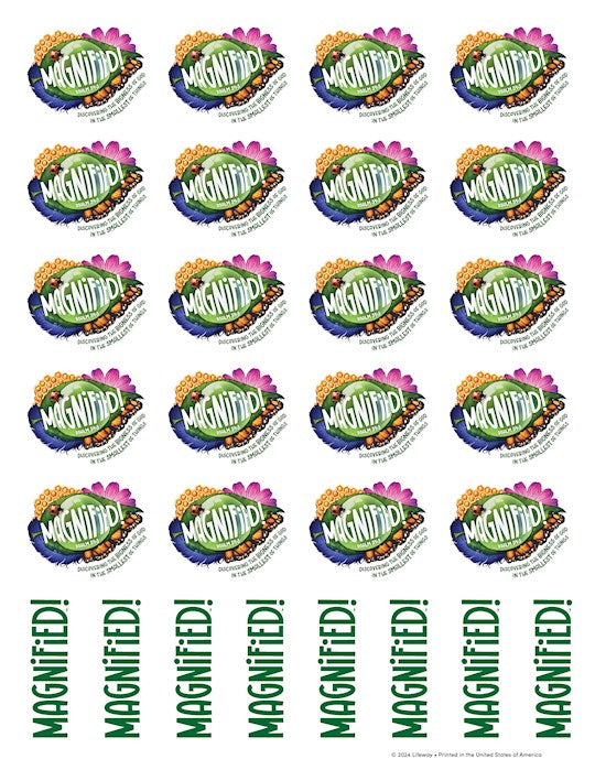 VBS-Magnified!: Logo Stickers (Pack Of 10 Sheets) (2025)
