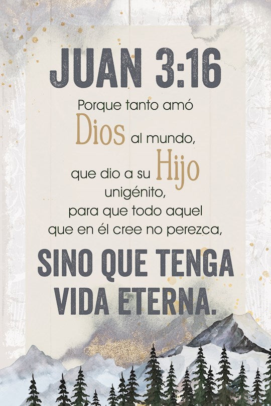 Spanish Plaque-John 3:16 (Juan 3:16) (4 x 6)