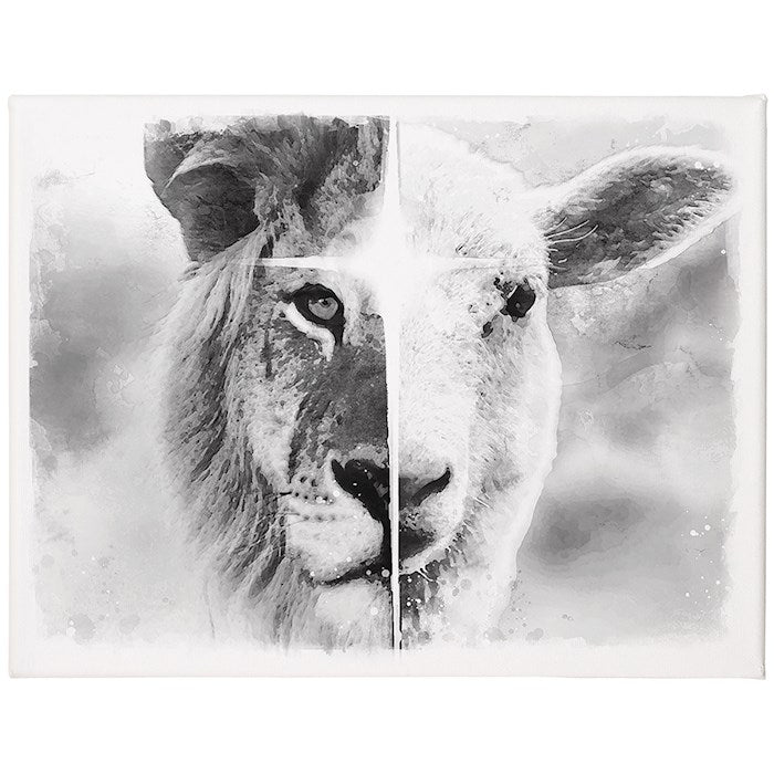Wrapped Canvas-Lion And Lamb (B&amp;W) (12 x 9)